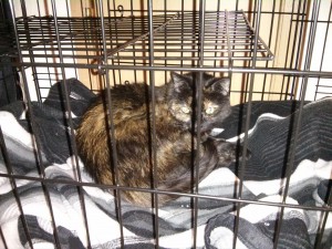 Sophie investigating the crate